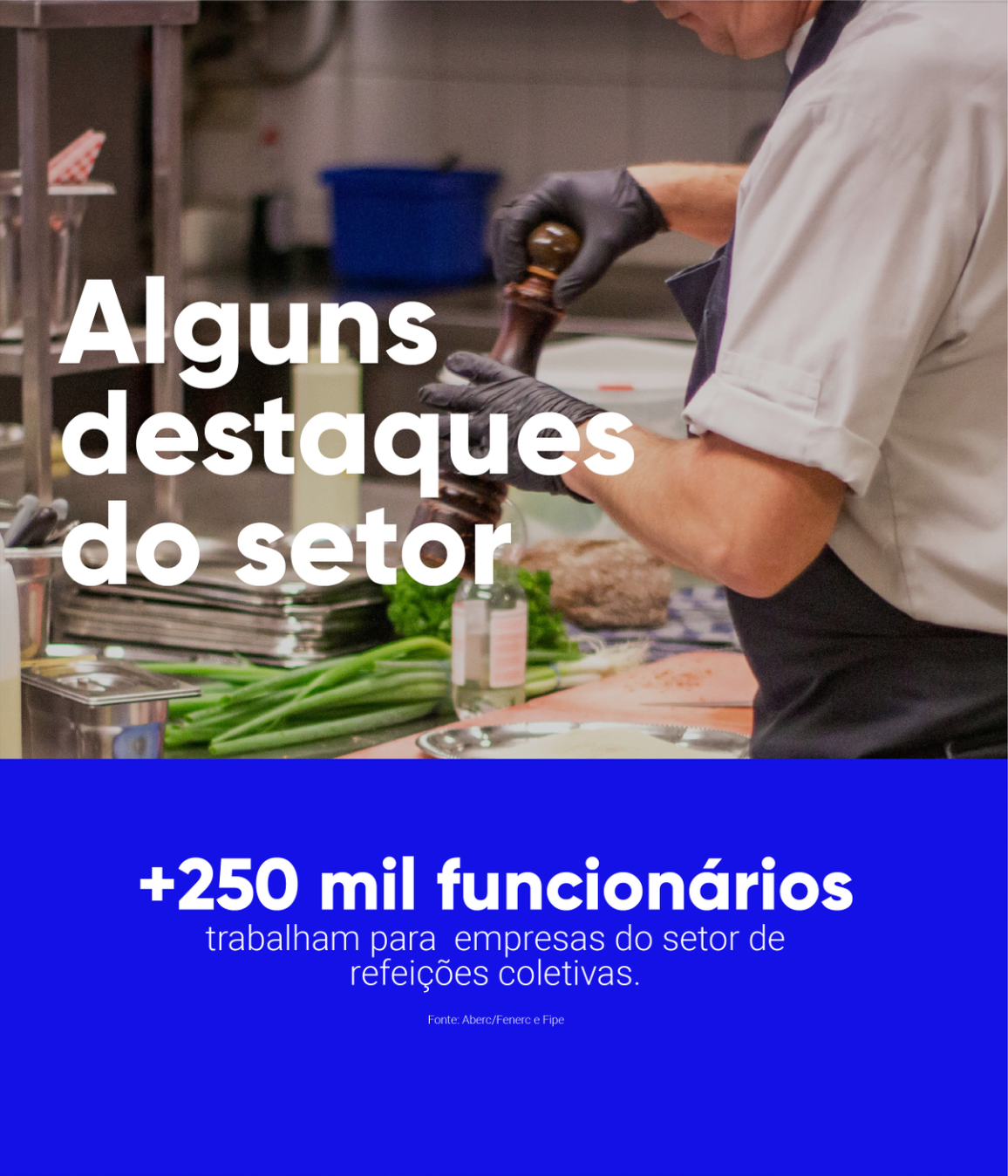 Destaques Setor
